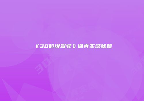 《3D超级驾驶》调真实感秘籍