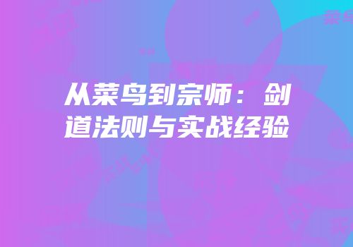 从菜鸟到宗师：剑道法则与实战经验