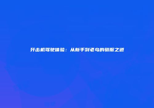 歼击机驾驶体验：从新手到老鸟的驯服之道