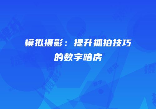 模拟摄影：提升抓拍技巧的数字暗房