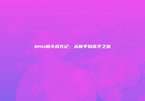 BHU格斗成长记：从新手到高手之旅