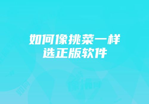 如何像挑菜一样选正版软件