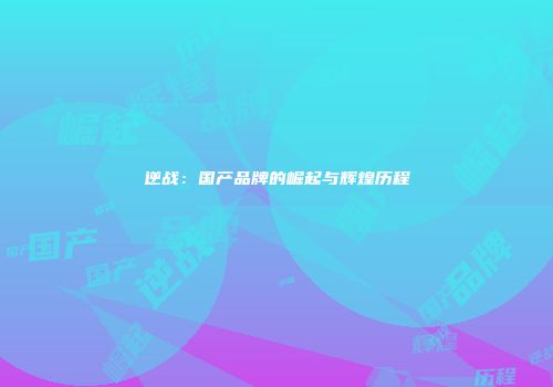 逆战：国产品牌的崛起与辉煌历程