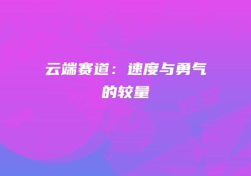云端赛道：速度与勇气的较量
