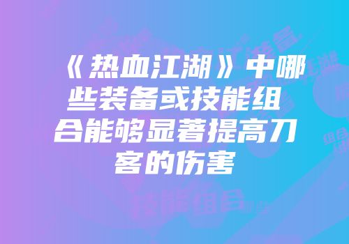 《热血江湖》中哪些装备或技能组合能够显著提高刀客的伤害