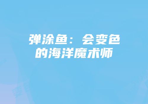 弹涂鱼：会变色的海洋魔术师