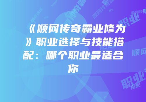 《顺网传奇霸业修为》职业选择与技能搭配：哪个职业最适合你