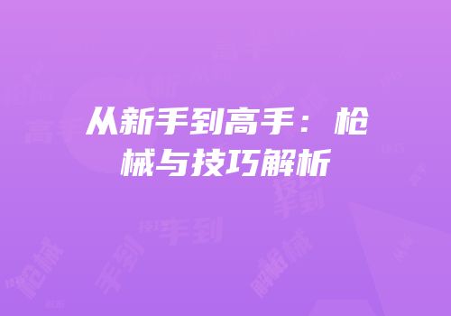 从新手到高手：枪械与技巧解析