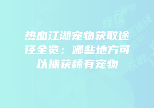 热血江湖宠物获取途径全览：哪些地方可以捕获稀有宠物