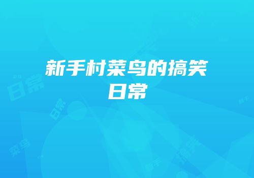 新手村菜鸟的搞笑日常