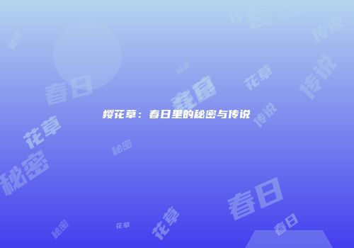 樱花草：春日里的秘密与传说
