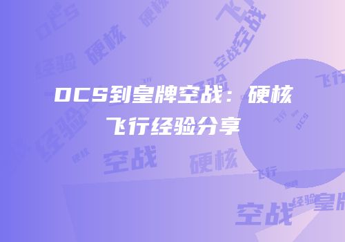 DCS到皇牌空战：硬核飞行经验分享