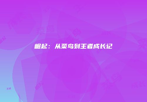 崛起：从菜鸟到王者成长记
