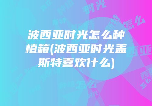波西亚时光怎么种植箱(波西亚时光盖斯特喜欢什么)