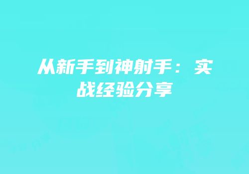 从新手到神射手：实战经验分享