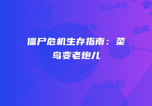 僵尸危机生存指南：菜鸟变老炮儿