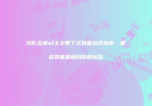 火影忍者ol土主带丁次装备选择指南：哪些装备最适合你的队伍