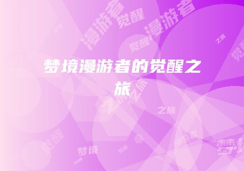 梦境漫游者的觉醒之旅