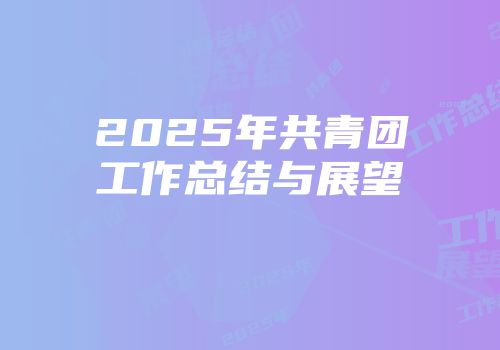 2025年共青团工作总结与展望