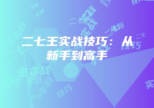 二七王实战技巧：从新手到高手