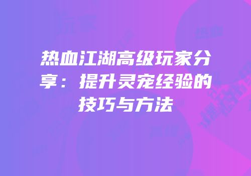热血江湖高级玩家分享：提升灵宠经验的技巧与方法
