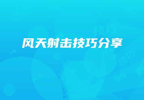 风天射击技巧分享