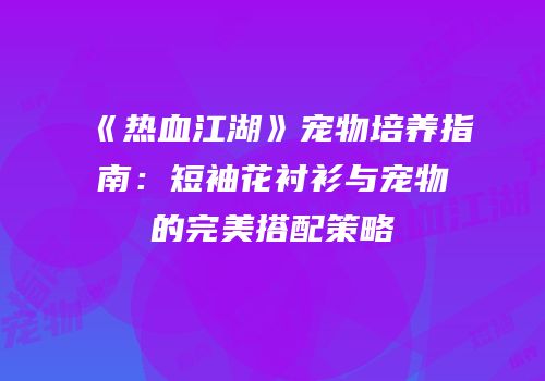 《热血江湖》宠物培养指南：短袖花衬衫与宠物的完美搭配策略