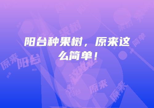阳台种果树，原来这么简单！