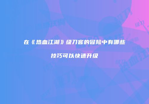 在《热血江湖》级刀客的冒险中有哪些技巧可以快速升级