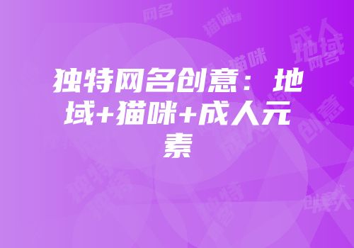 独特网名创意：地域+猫咪+成人元素