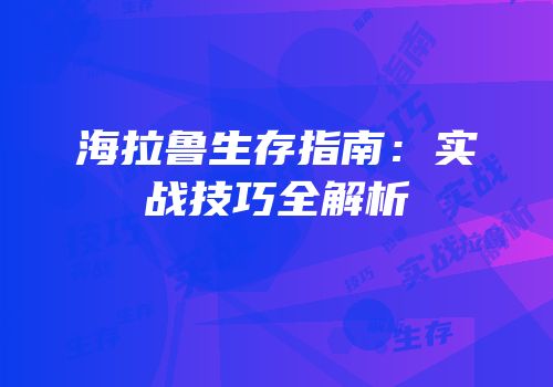 海拉鲁生存指南：实战技巧全解析