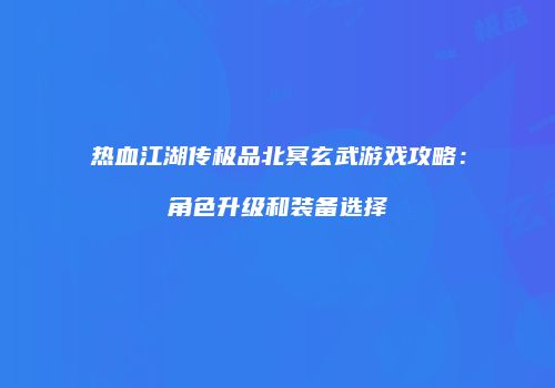 热血江湖传极品北冥玄武游戏攻略：角色升级和装备选择