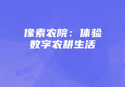 像素农院：体验数字农耕生活
