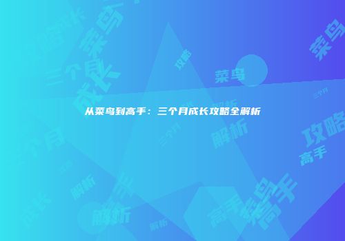 从菜鸟到高手：三个月成长攻略全解析