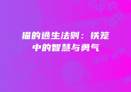 猫的逃生法则：铁笼中的智慧与勇气