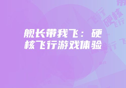 舰长带我飞：硬核飞行游戏体验