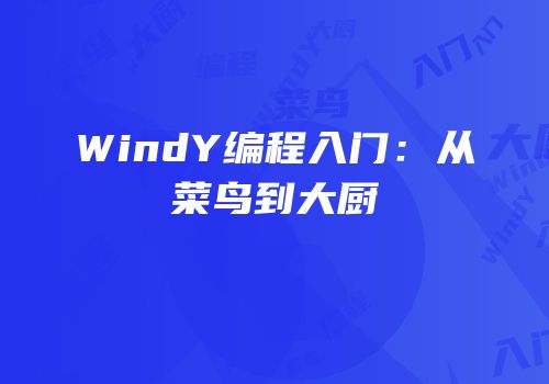 WindY编程入门：从菜鸟到大厨