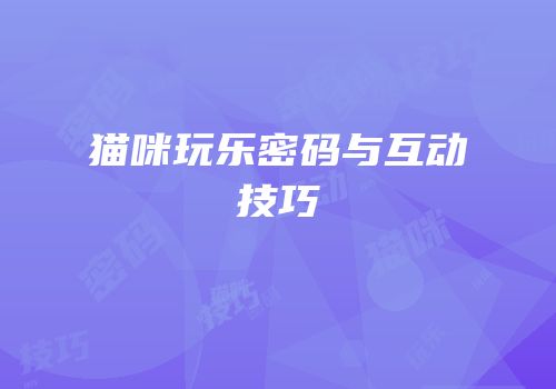 猫咪玩乐密码与互动技巧