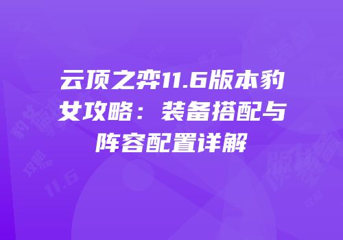 云顶之弈11.6版本豹女攻略：装备搭配与阵容配置详解