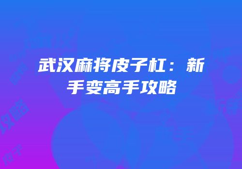 武汉麻将皮子杠：新手变高手攻略