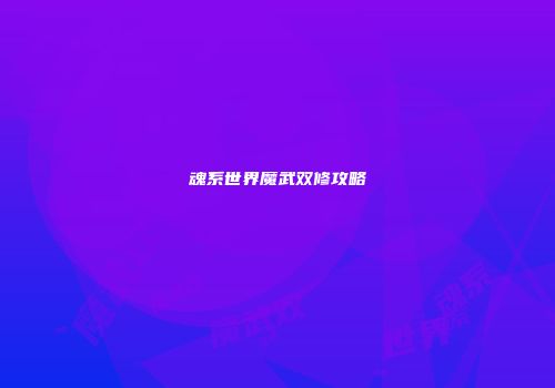 魂系世界魔武双修攻略