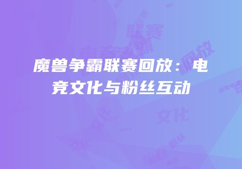 魔兽争霸联赛回放：电竞文化与粉丝互动