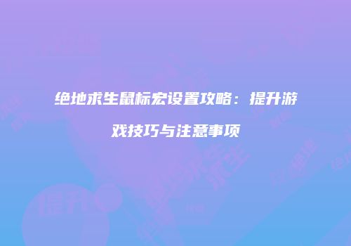 绝地求生鼠标宏设置攻略：提升游戏技巧与注意事项
