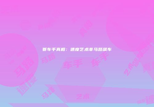 赛车手真相：速度艺术非马路飙车