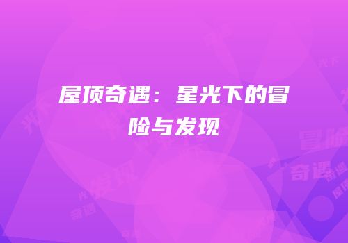屋顶奇遇：星光下的冒险与发现