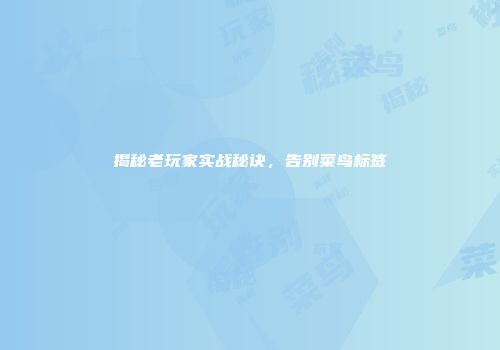揭秘老玩家实战秘诀，告别菜鸟标签