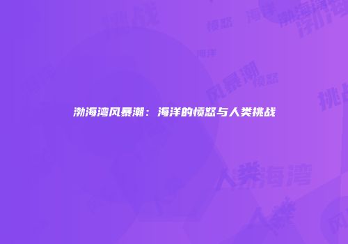 渤海湾风暴潮：海洋的愤怒与人类挑战
