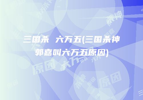 三国杀 六万五(三国杀神郭嘉叫六万五原因)