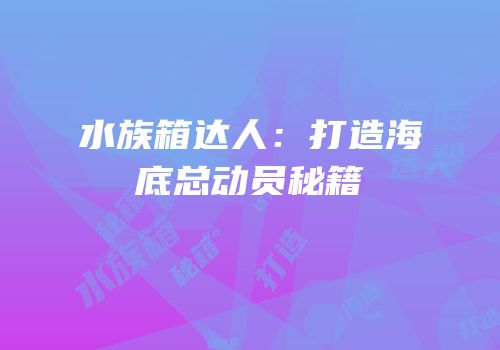 水族箱达人：打造海底总动员秘籍