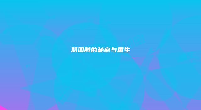 羽图腾的秘密与重生